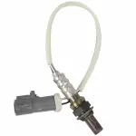 DY863 - Electrical: Motorcraft™ Oxygen Sensor for Ford: Contour, F-150, F-150 Heritage, Taurus | Mercury: Cougar, Mystique, Sable Image