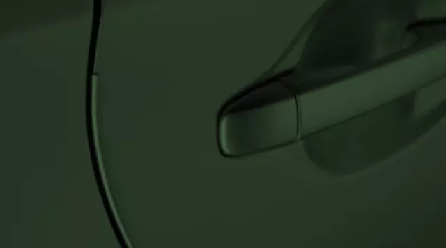 PT9360214006 - : Door Edge Guards, 4Evergreen Mica for Toyota: Corolla Image