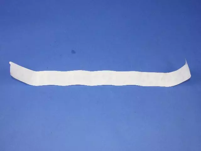 Door Opening Protector - Mopar (55155566)