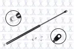 84778 - : Liftgate Lift Support for Focus Auto Parts Image
