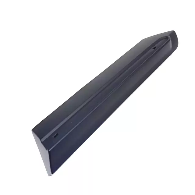 Molding (Unpainted) - Volkswagen (5c5854931rgru)