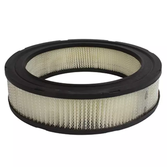 Element Assembly Air Cleaner - Ford (fa23r)