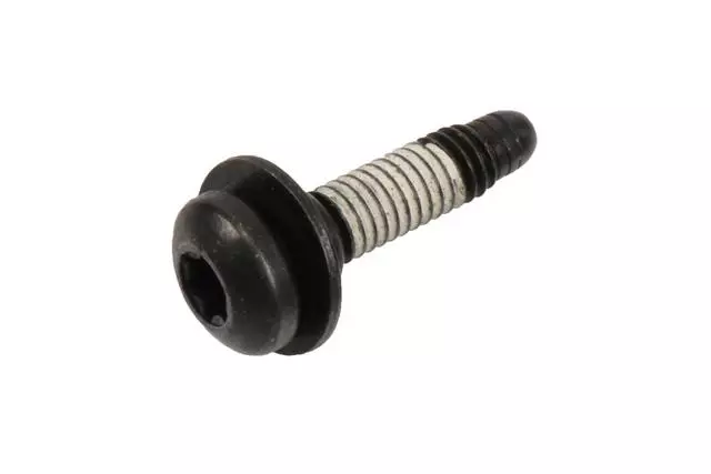 Rear Molding Screw - GM (11518329)
