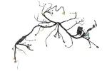 42784574 - : F Harness for GM Image