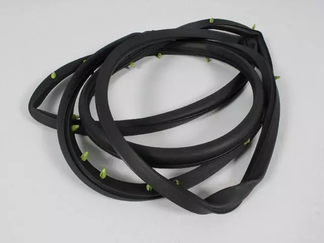 4717721AA - Body Sheet Metal Except Doors: Front Door Weatherstrip, Left for Chrysler: Town &amp; Country, Voyager | Dodge: Caravan, Grand Caravan Image