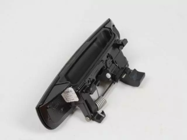 Exterior Door Handle, Right - Mopar (1mz80hbvag)