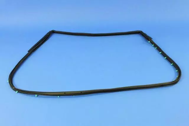 68040046AO - : Rear Door Mounted Weatherstrip, Right for Dodge: Charger Image