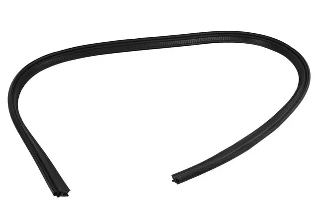 15288254 - Body: Weatherstrip for GM Image