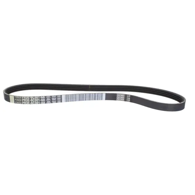 PR3Z8620D - : Accessory Drive Belt for Ford: Mustang Image