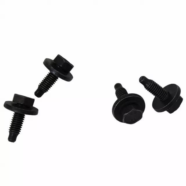 2011-2019 Ford Lift Cylinder Screw - Ford (W704176-S307)