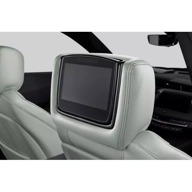 Headrest and Video Screen Assembly - GM (84339936)