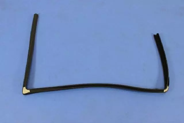 5065180AH - Doors, Door Mirrors and Related Parts: Front Door Glass Run, Right for Chrysler: 300 | Dodge: Charger, Magnum Image