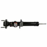 AST84826 - Suspension: Motorcraft™ Shock Absorber for Ford Image