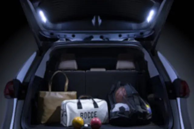 PT94448260C0 - Interior: Cargo Lamps, Rear Hatch for Toyota: Grand Highlander Image