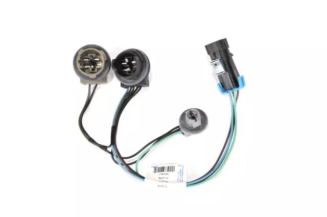 Socket & Wire - GM (15869348)