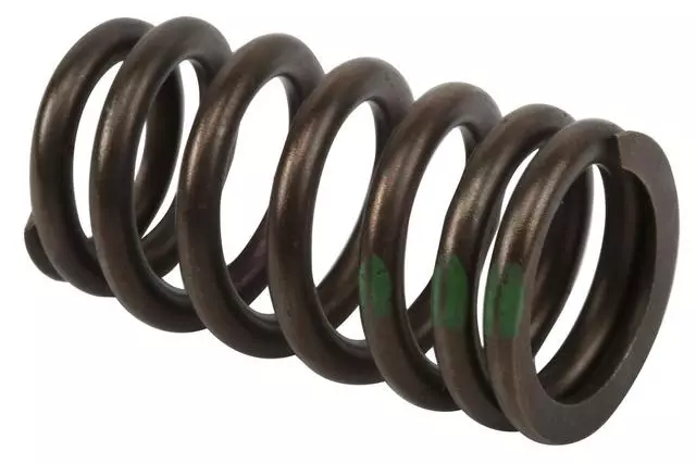 55573912 - : Valve Spring for GM Image