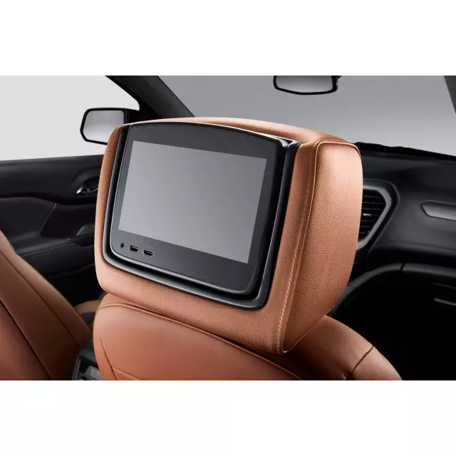 Headrest and Video Screen Assembly - GM (84690221)