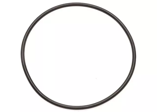8651541 - : Manual 2-1 Band Servo Piston Cylinder Seal for ACDelco Image
