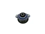 68236166AA - Frame, Bumper and Fascia: Body Hold Down Cushion, Right Or Left for Mopar Image