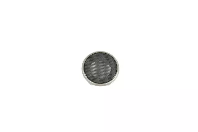Speaker Grille - Mopar (6NT91DX9AA)