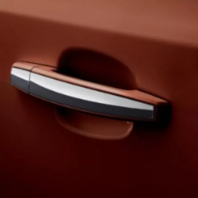 Front & Rear Side Door Outside Handle Pkg - GM (95107226)