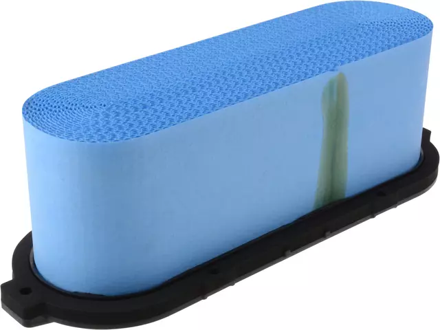 Air Filter - GM (25940997)