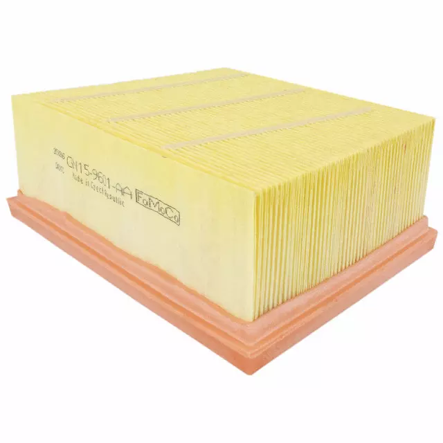 Air Filter - Ford (GN1Z-9601-A)