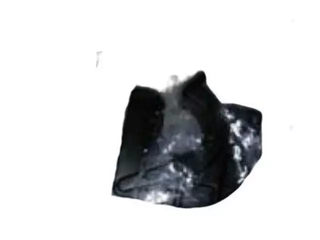 F8DZ19E746CA - HVAC: Pressure Hose Clip for Ford: E-150, E-250, E-350 Super Duty, Edge, Expedition, Transit Connect | Lincoln: MKX, Navigator, Town Car Image