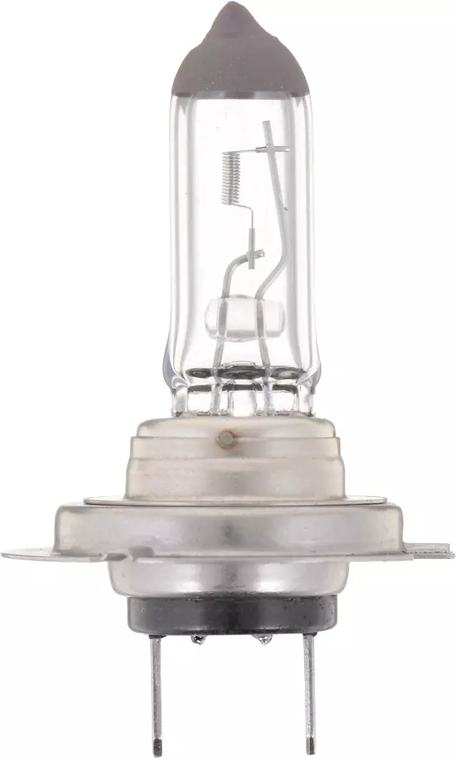 H7B1 - Lighting &amp; Lamps: Philips Standard Headlight H7 for Philips Image