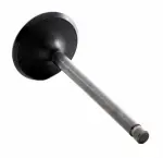 IM2198 - : Engine Intake Valve for Enginetech Image