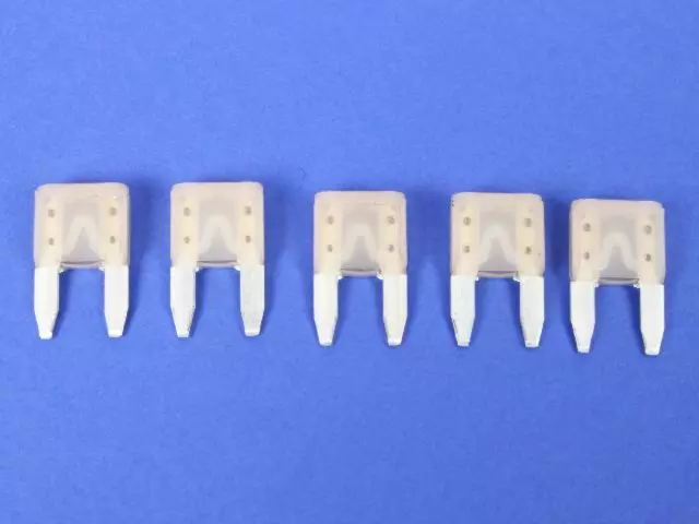 ATM25 - Electrical: Mini Fuse for Chrysler: 200, 300, Pacifica, PT Cruiser, Sebring, Town &amp; Country, Voyager | Dodge: Avenger, Caliber, Caravan, Challenger, Charger, Dakota, Dart, Durango, Grand Caravan, Journey, Magnum, Nitro, Ram 1500, Ram 2500, Ram 3500, Viper | Fiat: 500 | Jeep: Cherokee, Commander, Compass, Grand Cherokee, Liberty, Patriot, Wrangler, Wrangler JK | Ram: 1500, 2500, 3500, C/V, Dakota, ProMaster 1500, ProMaster 2500, ProMaster 3500 | SRT: Viper Image