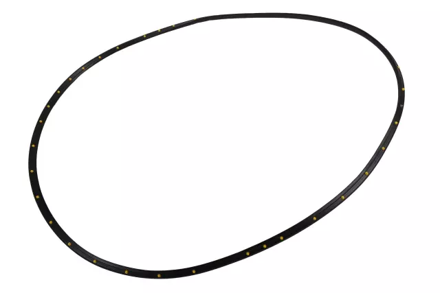 Door Weather-Strip - GM (42766260)