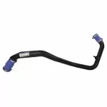 JL3Z6C646C - : Lower Hose for Ford: F-150 Image