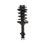 818215 - : PRT 818215 Suspension Strut and Coil Spring Assembly for PRT PERFORMANCE RIDE Image