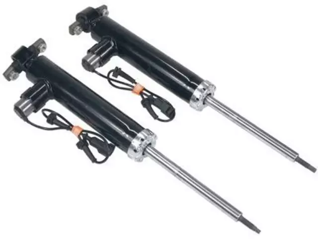 Shock Absorber - Ford (EG9Z-18125-L)