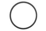 24270633 - : Turbine Shaft Seal for ACDelco Image