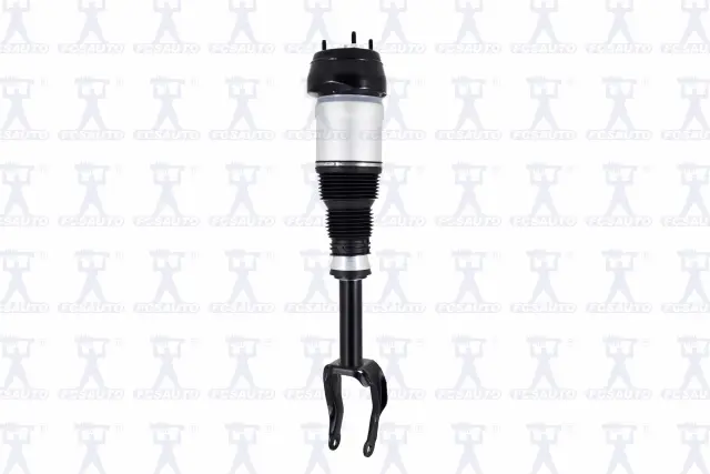 99061 - Suspension &amp; Steering: Focus Auto Parts Air Suspension Strut for Focus Auto Parts Image