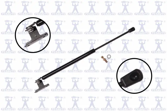 84815 - Exterior: Back Glass Lift Support for Focus Auto Parts Image