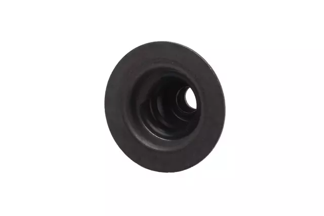 12633926 - : Valve Seals for GM Image