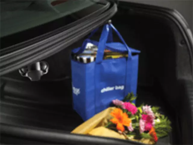 Cargo Hook - Acura (08L96-TA0-101A)