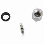 TPMS16 - Electrical: Motorcraft™ Tire Pressure Monitoring System (TPMS) Sensor Valve Assembly for Ford: Expedition, Explorer | Lincoln: Navigator Image