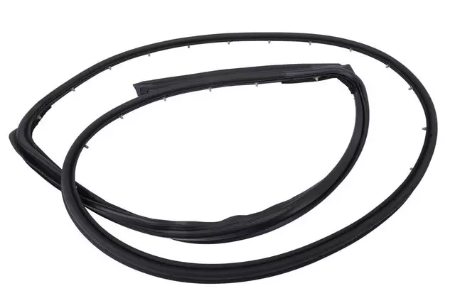 Door Weather-Strip - GM (42785951)