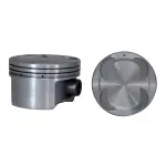 P40016STD - : Engine Piston Set for Enginetech Image