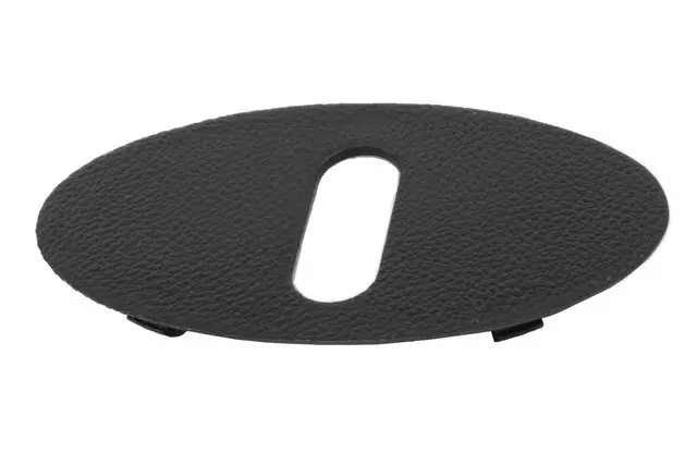 Jet Black Liftgate Lock Striker Cover - GM (42340991)