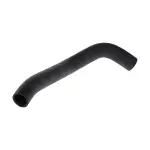 215031PD0A - Cooling System: Lower Hose for Nissan Image