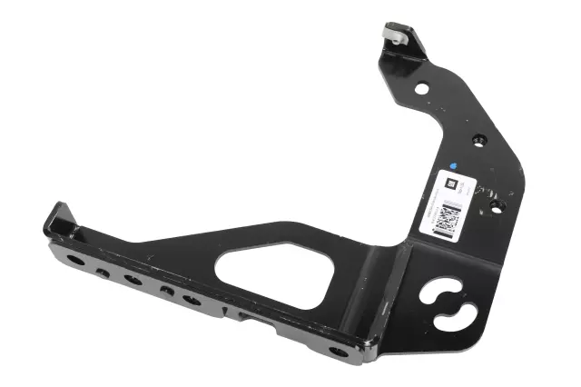 Body Weather-Strip - GM (39147376)