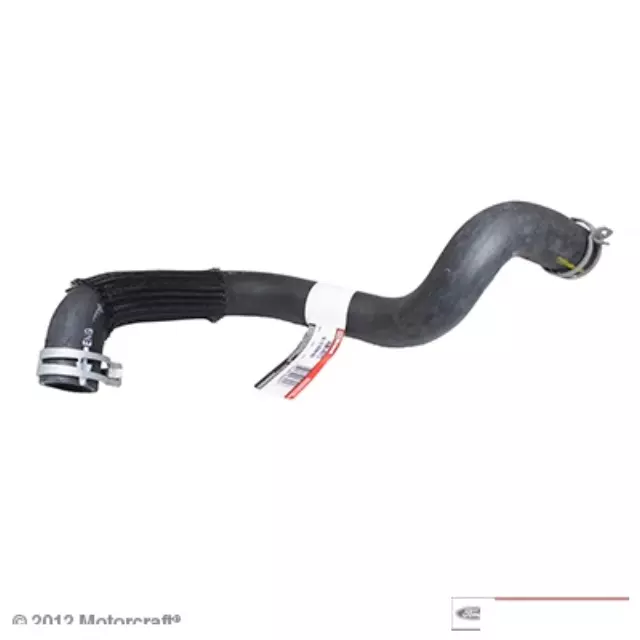 Radiator Coolant Hose - Ford (5L1Z-8286-BB)