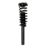 815378 - : PRT 815378 Suspension Strut and Coil Spring Assembly for PRT PERFORMANCE RIDE Image