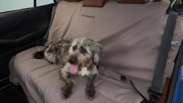 F411SFL040 - Interior: Pet Friendly Padded Seat for Subaru: Crosstrek, Impreza Image