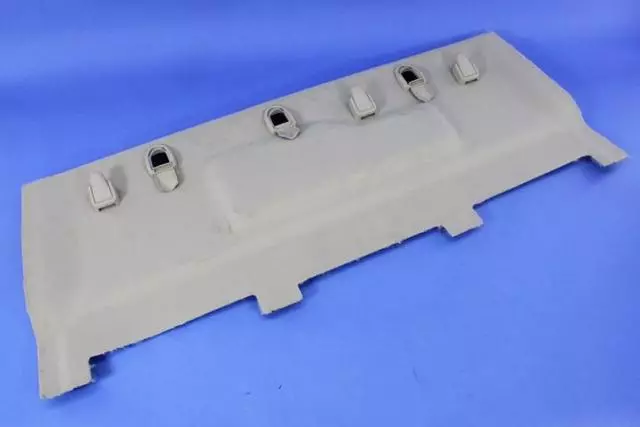 Cab Back Trim Panel - Mopar (1VD95HL1AA)